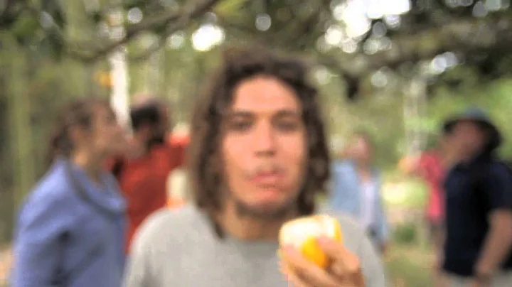 Online Permaculture Design Course with Scott Pittm...