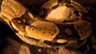 Stop Touching Me, Or I Will Squeeze