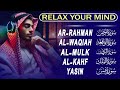 Beautiful Reciting Listen Every Tilawat  Day। Surah Al Kahf, Surah Yasin, Ar Rahman, Al Mulk ।