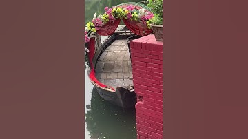 Thumbnail of The beauty of waterlilies🌺🦋✨