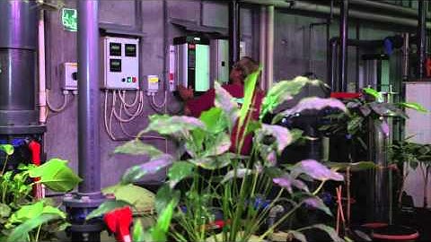 Danfoss VLT® HVAC drives used in Randers Rainforest