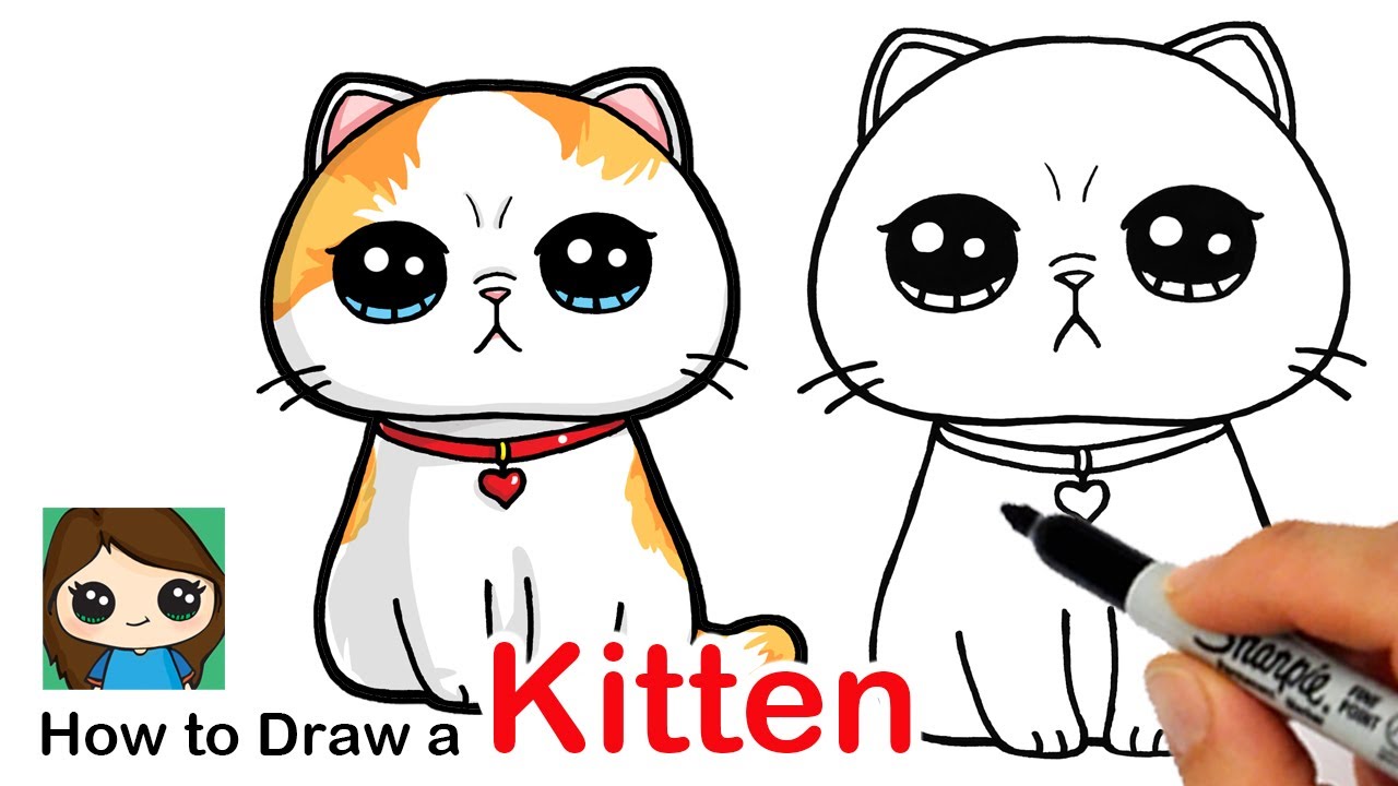 How to Draw a Kitten Easy | Exotic Shorthair Cat - YouTube