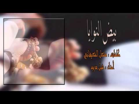 شيلة بيض النوايا أداء شبل حرب