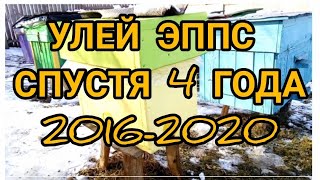 Тест улья из пенополистирола 2016-2020 год. Что же с ним случилось??? 😱😱😱😲😲 #улейэппс#пенополистирол