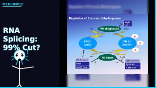 RNA Splicing: 99% Cut?