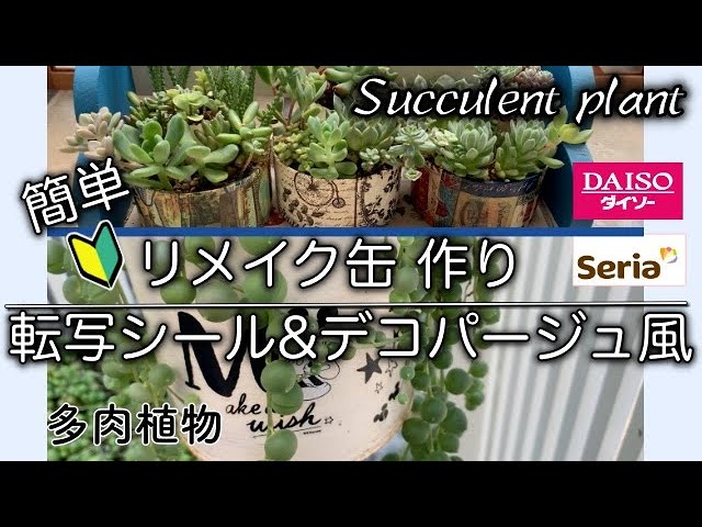 【多肉】109 簡単！多肉植物　リメ缶作り100均の転写シールとデコパージュ風のリメイクをしていきます。