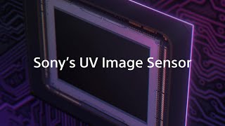UV(紫外線)波長域対応　イメージセンサー【ソニー公式】