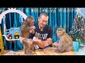 Grandpa gets milk for monkey to enjoy so super cutes