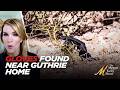 Gloves Found Near Nancy Guthrie Home and Details of OVERNIGHT Search Along Road, with Phil Holloway