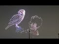Harry Potter Drone Show FULL 4K | Magical Night Sky Experience Fort Lauderdale