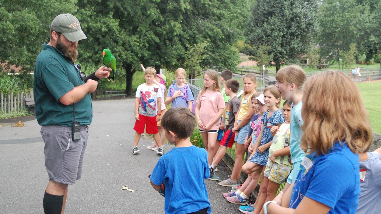 Summer Safari Day Camp Metro Richmond Zoo