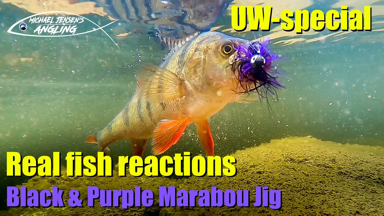 Black and Purple Marabou Jig - UW- special: real honest fish