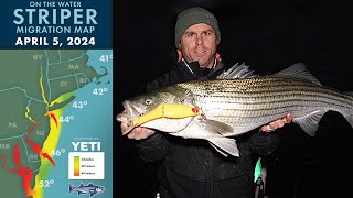 Striper Migration Report | April 5, 2024