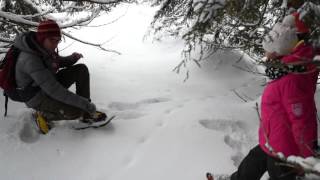 Journée de la raquette Chamrousse 2016