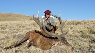 RED STAG hunting in ARGENTINA. Chasse du CERF ELAPHE dans les ANDES ARGENTINES by Seladang