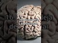 Si deja de funcionar nos morimos #cerebro #neuroaprendizaje #neurociencia @Neuroaprendizaje