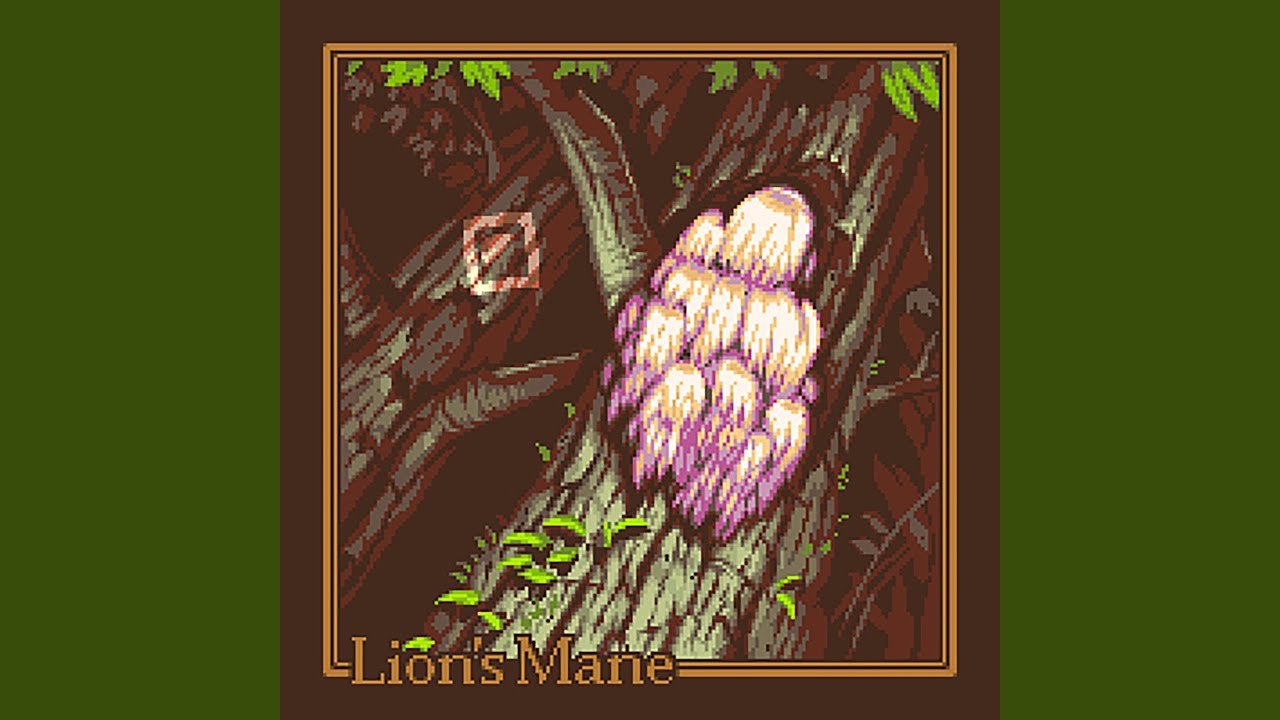 Watch Lion's Mane on YouTube Watch Lion's Mane on YouTube
