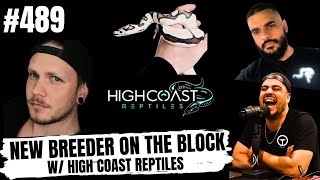 THE HIGH END BALL PYTHON GAME IN SWEDEN | NEW BREEDER ON THE BLOCK LIVE
