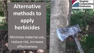 Fifteen Minutes in the Forest: Alternative Herbicide Application Methods