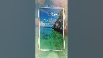 سورة الملك هي السورة التي تُنجّي صاحبها من عذاب القبر،