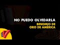 No Puedo Olvidarla, Binomio De Oro De América, Video Letra - Sentir Vallenato