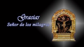 Gracias Señor de los milagros