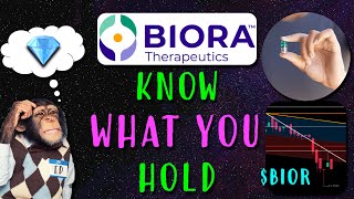 Biora Therapeutics Stock $BIOR: Know What You Hold