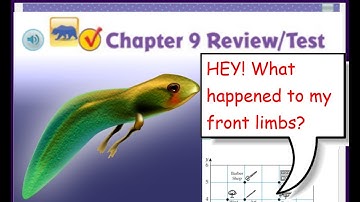 Go Math 5th Grade Chapter 9 Review Part 2 UPDATED