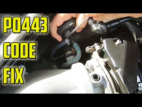 P0443 Purge Control Circuit Code And Fix | Ford Mondeo