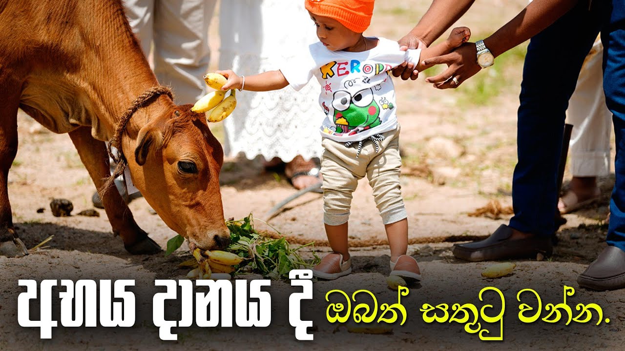 අභය දානය දී, ඔබත් සතුටු වන්න..