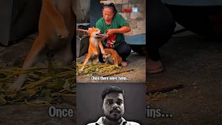 Najsmutniejszy moment w Internecie💔🥺😭 #emocjonalny #smutny #pies #tęsknię #szacunek #płacz #życzliwość #szczeniaki#szorty