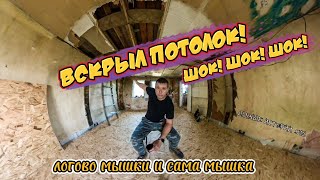 Дачные Истории №12, ВСКРЫВАЮ ПОТОЛОК! ШОК ! ШОК! ШОК!