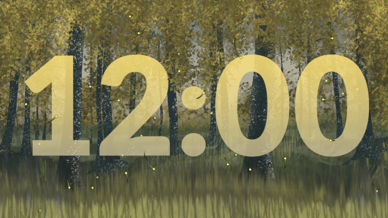 12 Minute Timer - YouTube