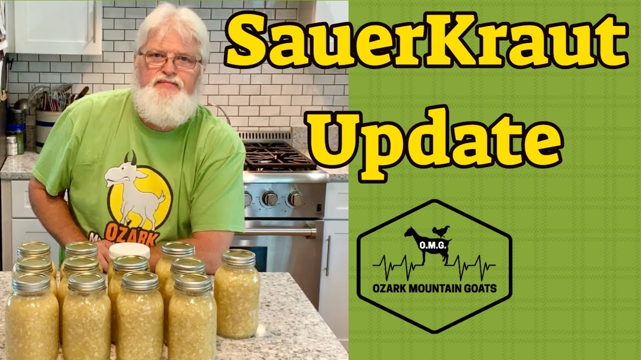 Homemade Sauerkraut: Putting up our Sauerkraut - YouTube