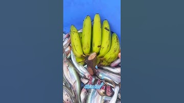 #Shorts / Câu cá xác sọc cá dứa mồi này nó khoái lắm miền tây sông nước #KiềmRapper