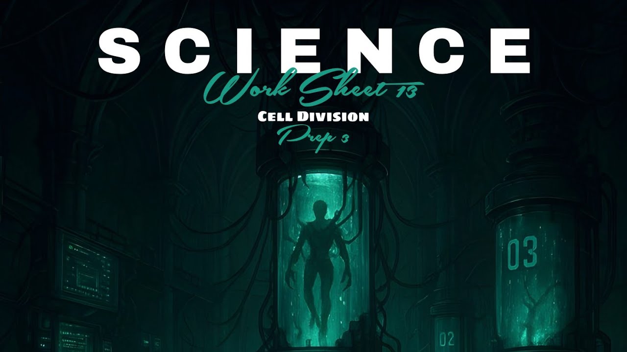 Science | Elmoasser | Prep 3 | Cell division | Worksheet 13.