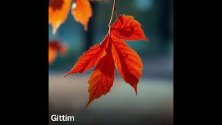Gittim