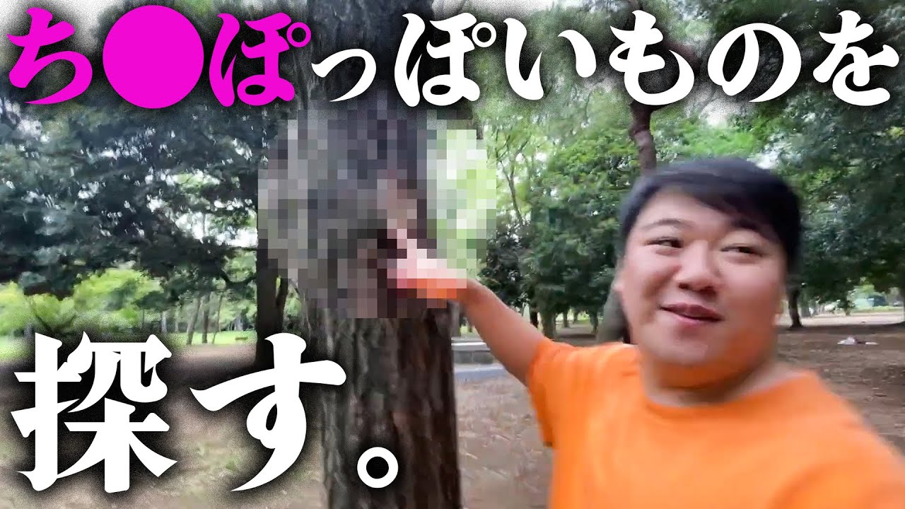 【衝撃】ニシダのち●ぽっぽいものを探す のサムネイル