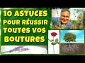 10 astuces pour réussir toutes vos boutures !