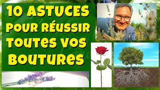 10 astuces pour réussir toutes vos boutures !