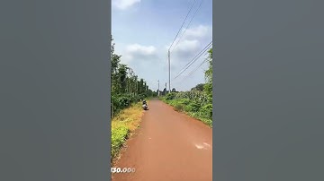 Cô Hoa Cần Tiền Bán Gấp ,Đất Vườn 1.057m2 Ở Châu Đức ,Bà Rịa Vũng Tàu Để Trả Nợ#shorts #batdongsan