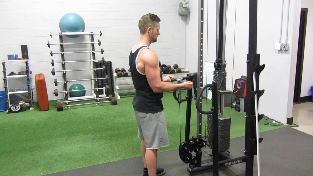 Low pulley cable curl, supination YouTube