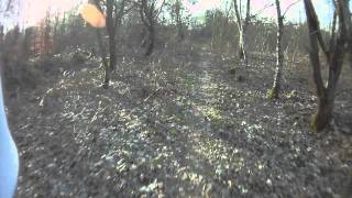 Trailguide - Langener Waldsee - Langen Hessen