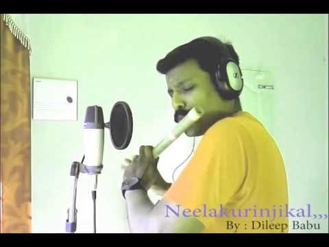 neelakadambu songs