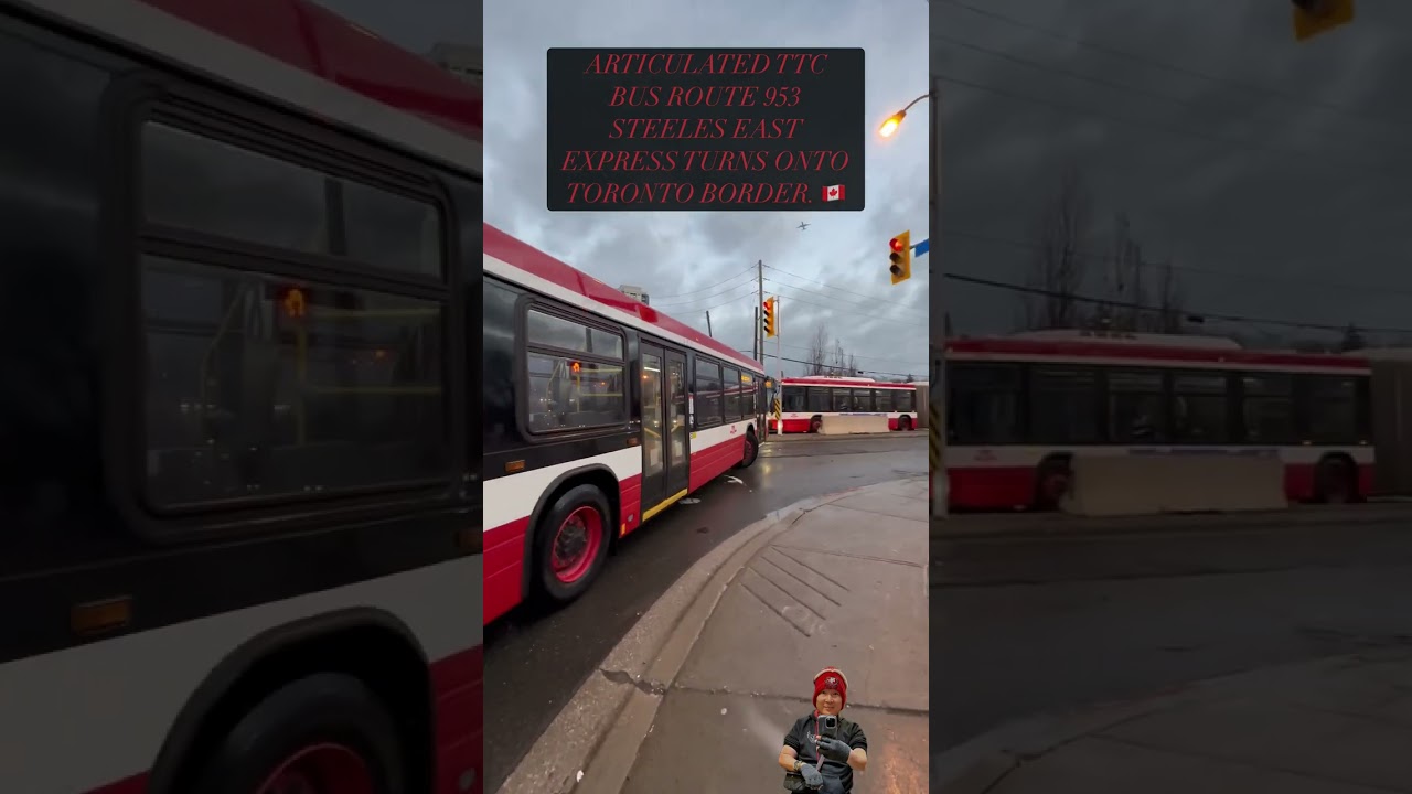 ARTICULATED TTC BUS ROUTE 953 STEELES EAST EXPRESS TURNS ONTO TORONTO BORDER Feb 11 🇨🇦 