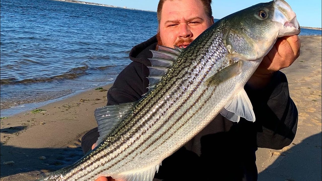 Striper Fishing Long island Ny 
