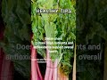 Swiss chard: Nutrient-dense glow up! ✨🥬 #Superfoods #Wellness