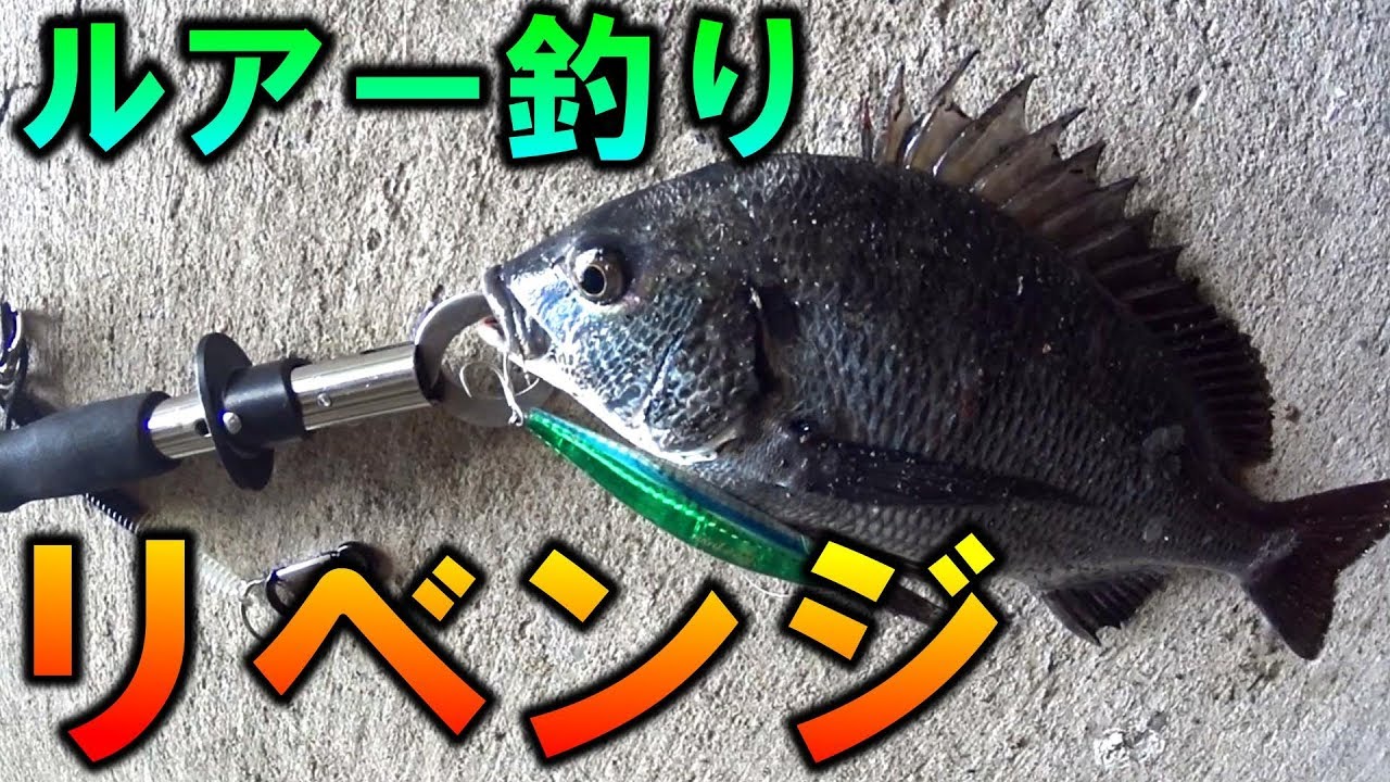 シーバスゲーム ビッグベイトにデカいシーバスがヒットした Youtube