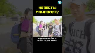 Воровство Невест: Традиция Или Преступление? #Погнали #Shorts