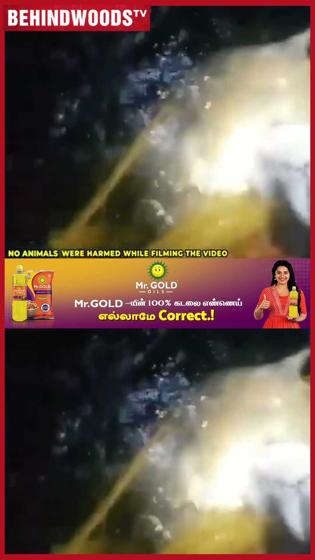 'மச்சான் விட்டுடாத டா!' ? 80 KG ஆமையை பத்திரமா மீட்ட மீனவர்கள்